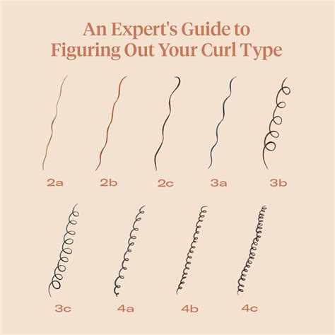Identifying Your Curl Type and Needs