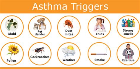 Identifying and Avoiding Common Asthma Triggers