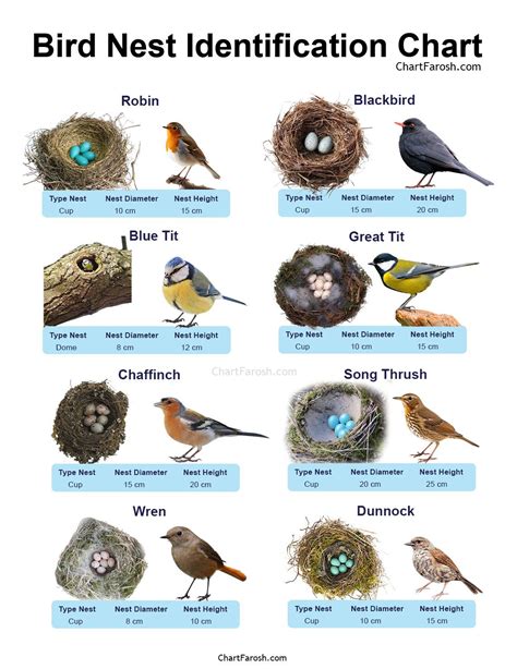Identifying the Nest Type
