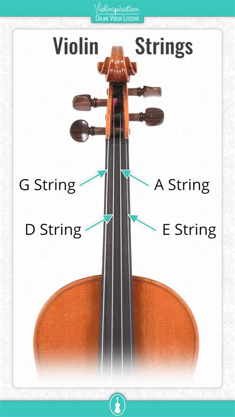 Identifying the Open Strings