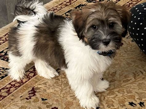 Identifying the Signs of a Sick Driver