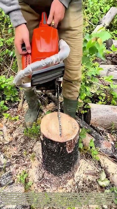 Igniting the Engine Secrets