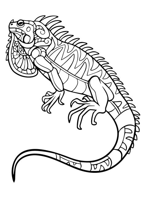 Iguana Free Printable Adult Coloring Pages