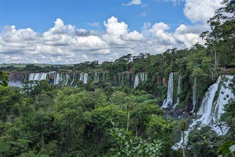 Iguazu Forest Trail