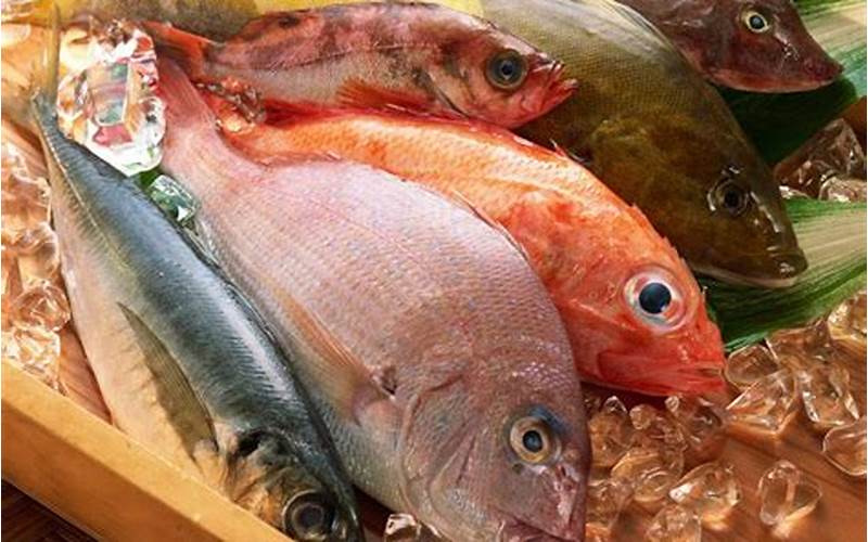 Budidaya Pembenihan Ikan Konsumsi
