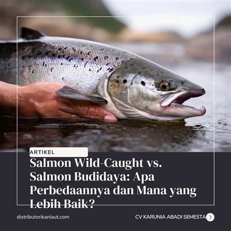 Ikan salmon