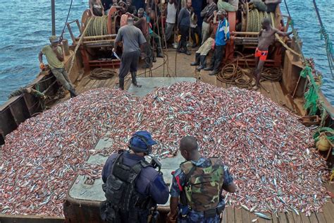 Illegal, Unreported, and Unregulated (IUU) Fishing