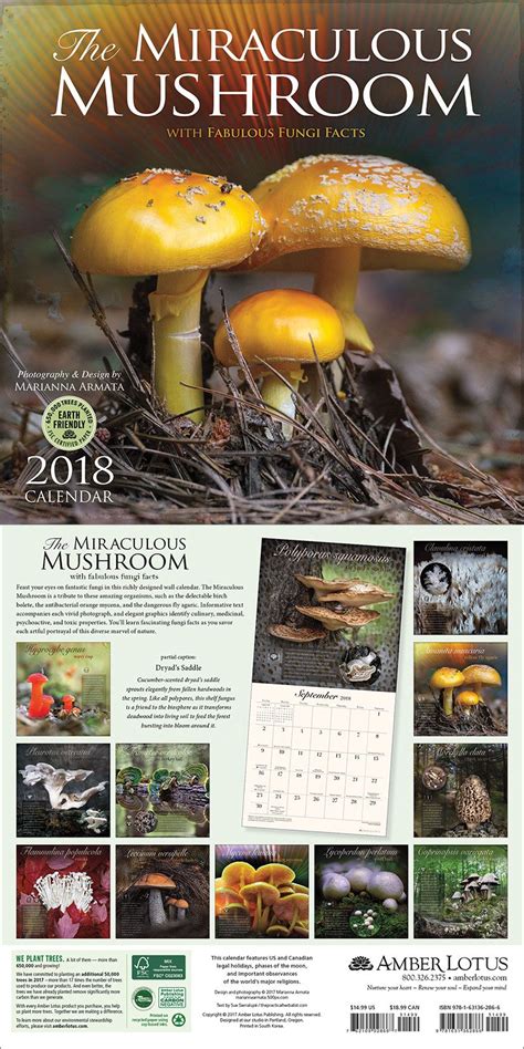 Illinois Mushroom Calendar