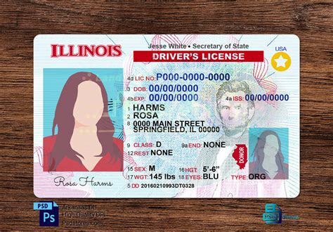Illinois Drivers License Template Psd