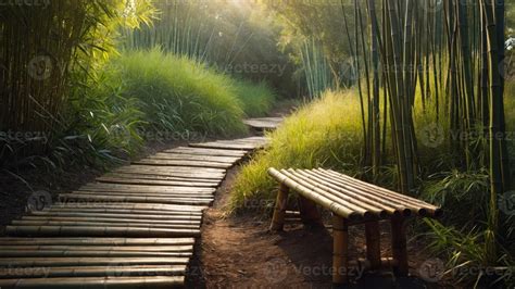 Illuminating the Trail