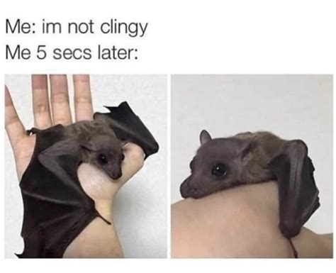 Im Clingy Memes