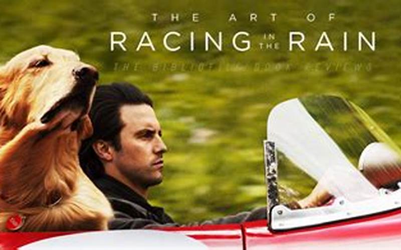 Image: The Art Of Racing In The Rain Plot