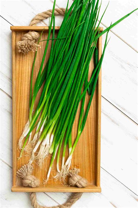 Image Of A Scallion