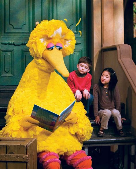 Image Of Big Bird