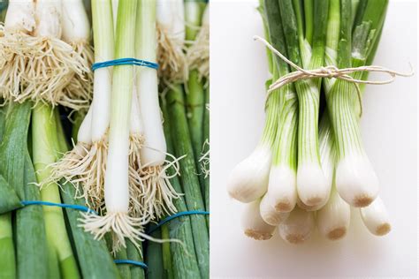 Image Of Scallions