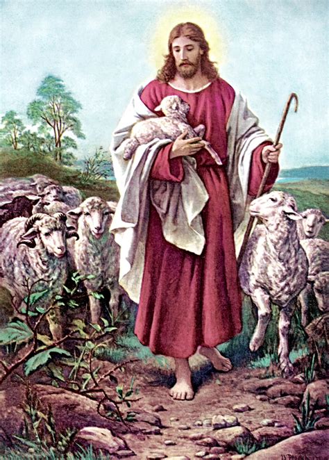 Image Of The Good Shepherd