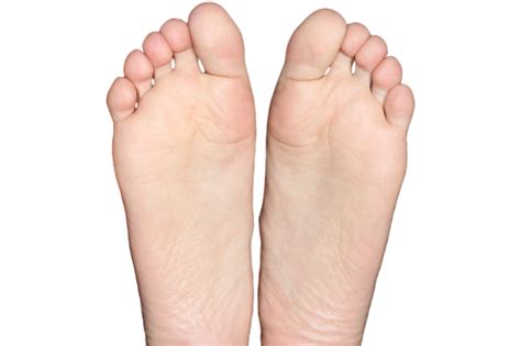 Image Of Toes