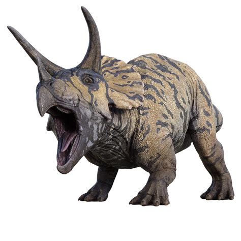 Image Of Triceratops