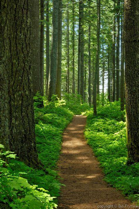 Path