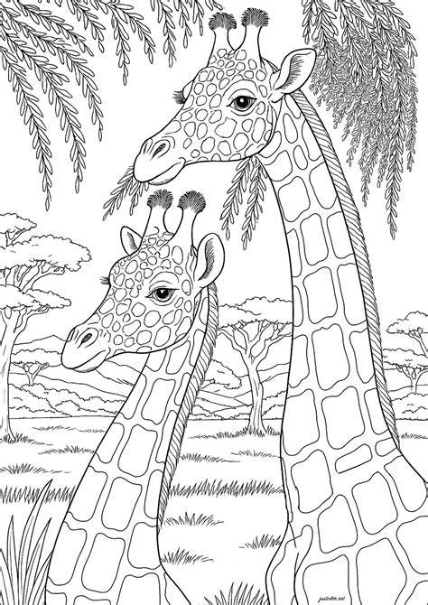 Images Of Giraffe Coloring Pages