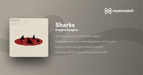 Imagine Dragons Sharks Traduction