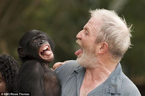 Imitation in Animal Behavior