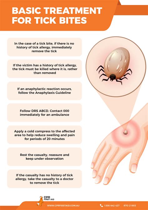 Immediate Steps After Tick Exposure