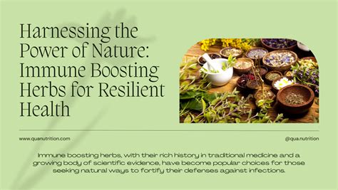 Immune Bolstering Nature Therapy