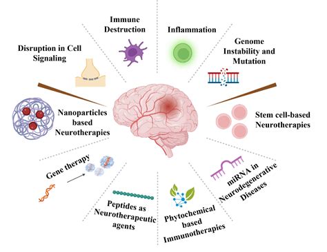 Immunomodulators: Targeting the Root Cause