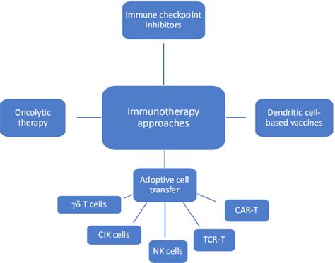 Immunotherapy Approaches