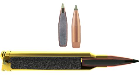 Impact of PSA Ammunition