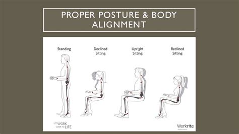 Thoracic Vertebrae and Posture