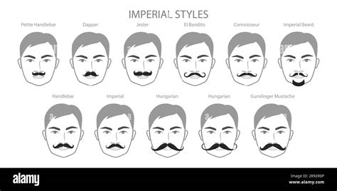 Imperial Mustache