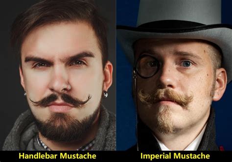 Imperial Mustache Vs Handlebars