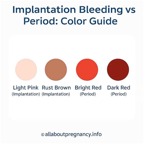 Implantation Bleeding Color On Tissue