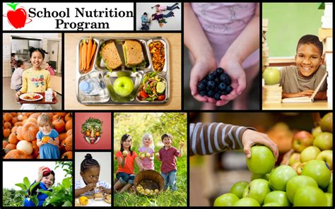 Implementing Nutrition Education Programs