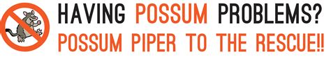 Implementing Proactive Possum Prevention
