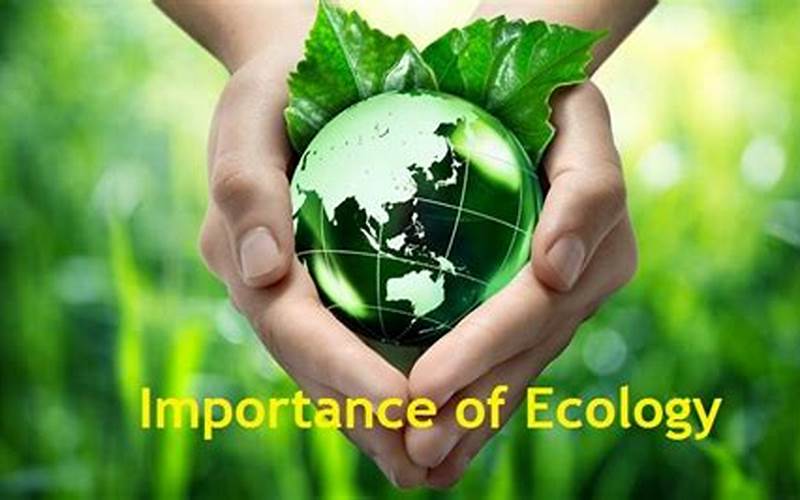 Importance Of Ecology
