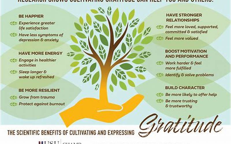 Importance Of Gratitude