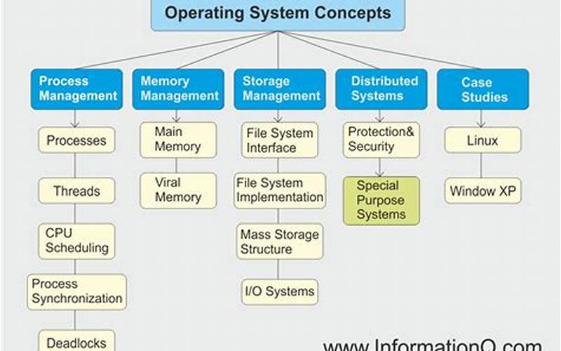 Importance Of Operating Systems