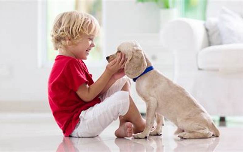 Importance Of Pets In Our Lives