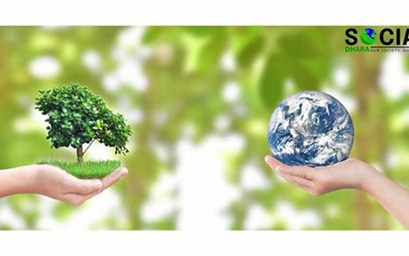 Importance Of Respecting The Environment In Islam