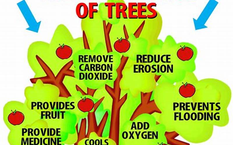 Importance Of Trees