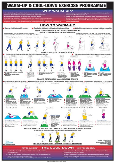 Importance Of Warm Up Exercises Essay
