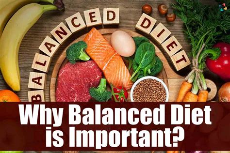 Importance of Balanced Nutrition