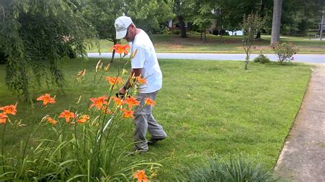 Importance of Lawn Care in Powder Springs GA