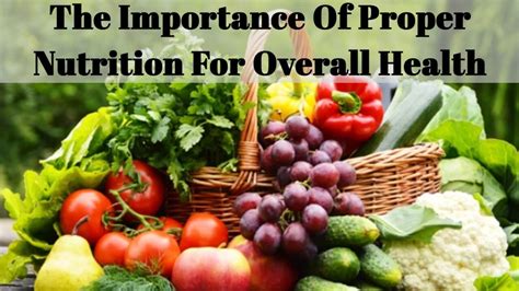 Importance of Proper Nutrition