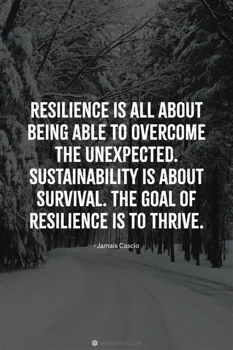 Importance of Resilience Quote