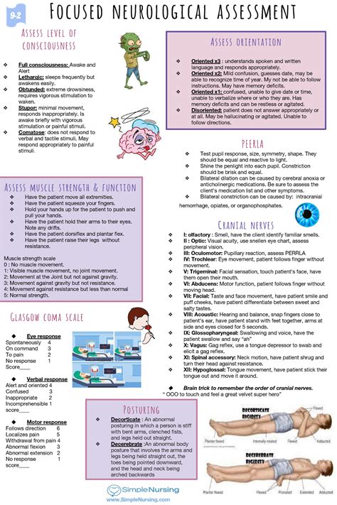 Importance of Wiring Diagram in Neurological Assessment