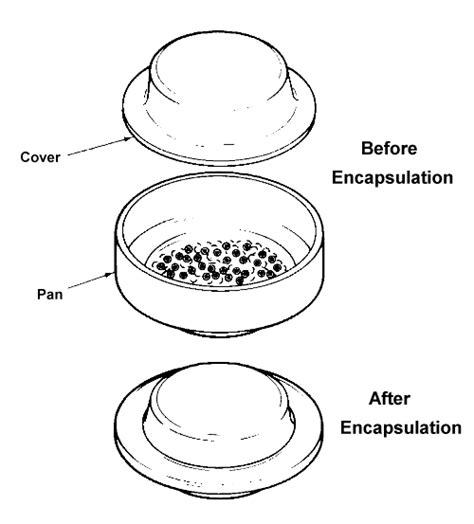 Important Considerations Before Encapsulating